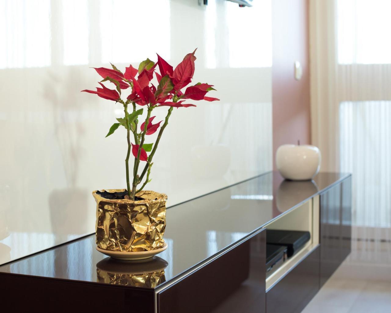 Apartment Amalfi 스플리트 외부 사진